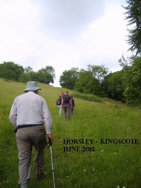 Horsley Ramble, June 2015